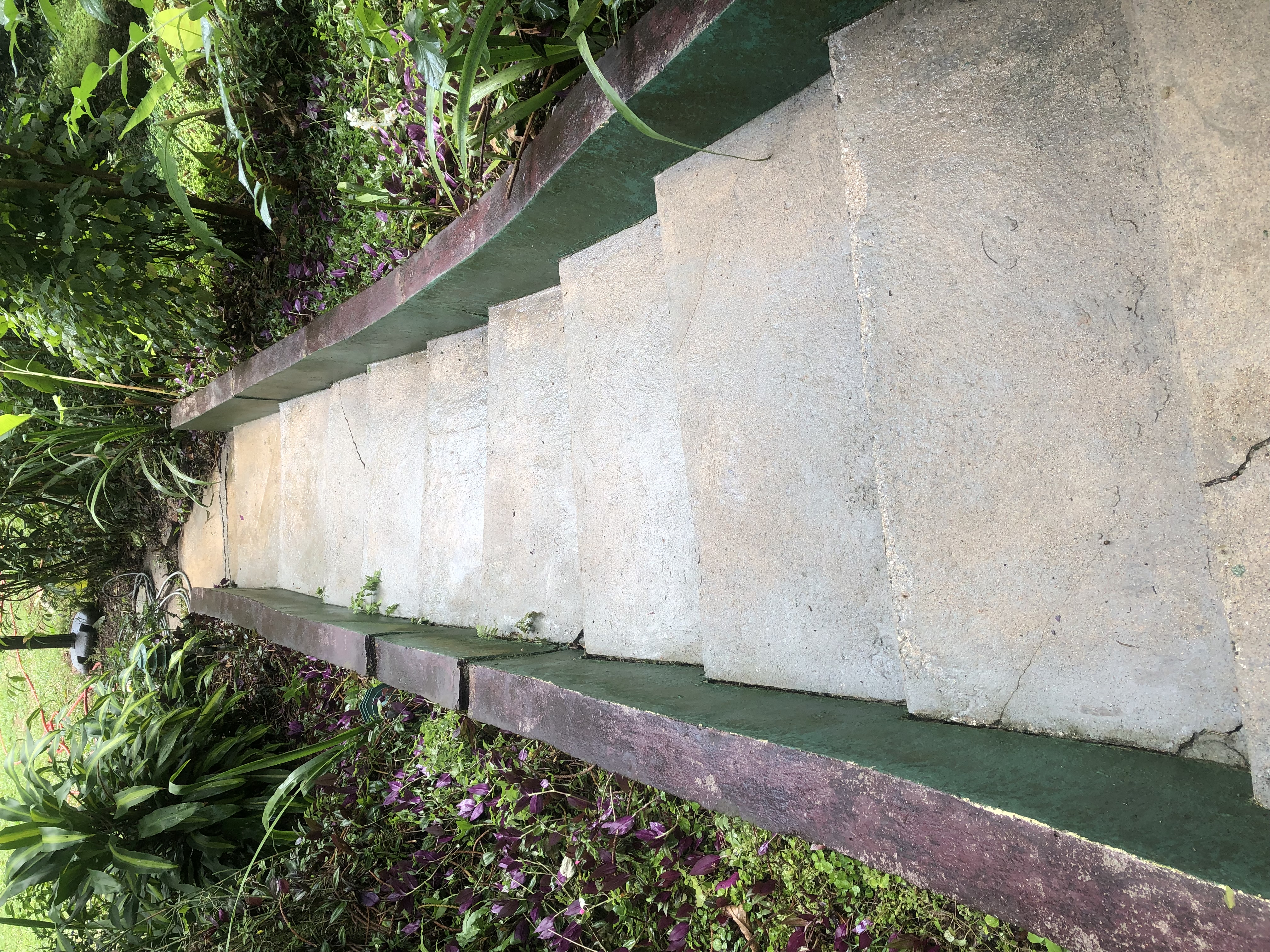Concrete Cleaning