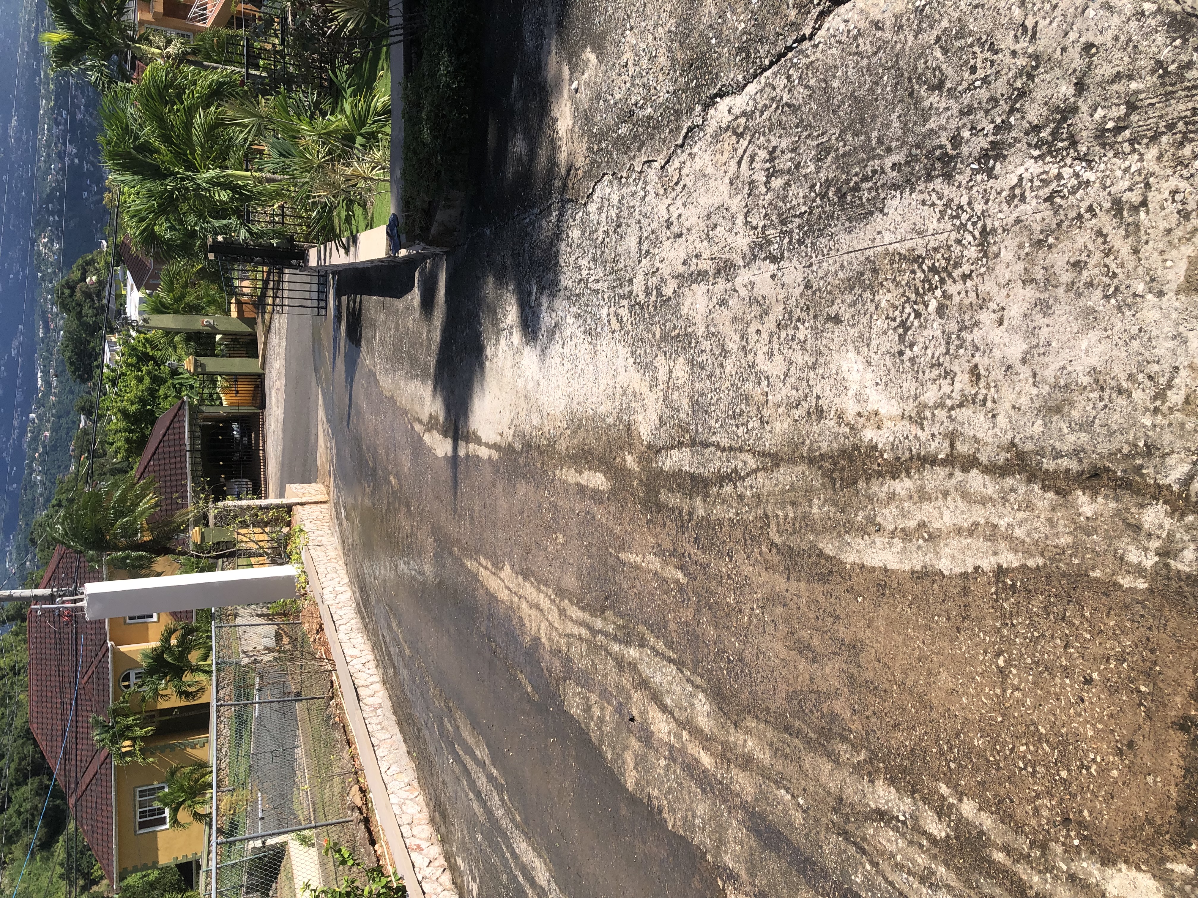 Driveway Cleaning before