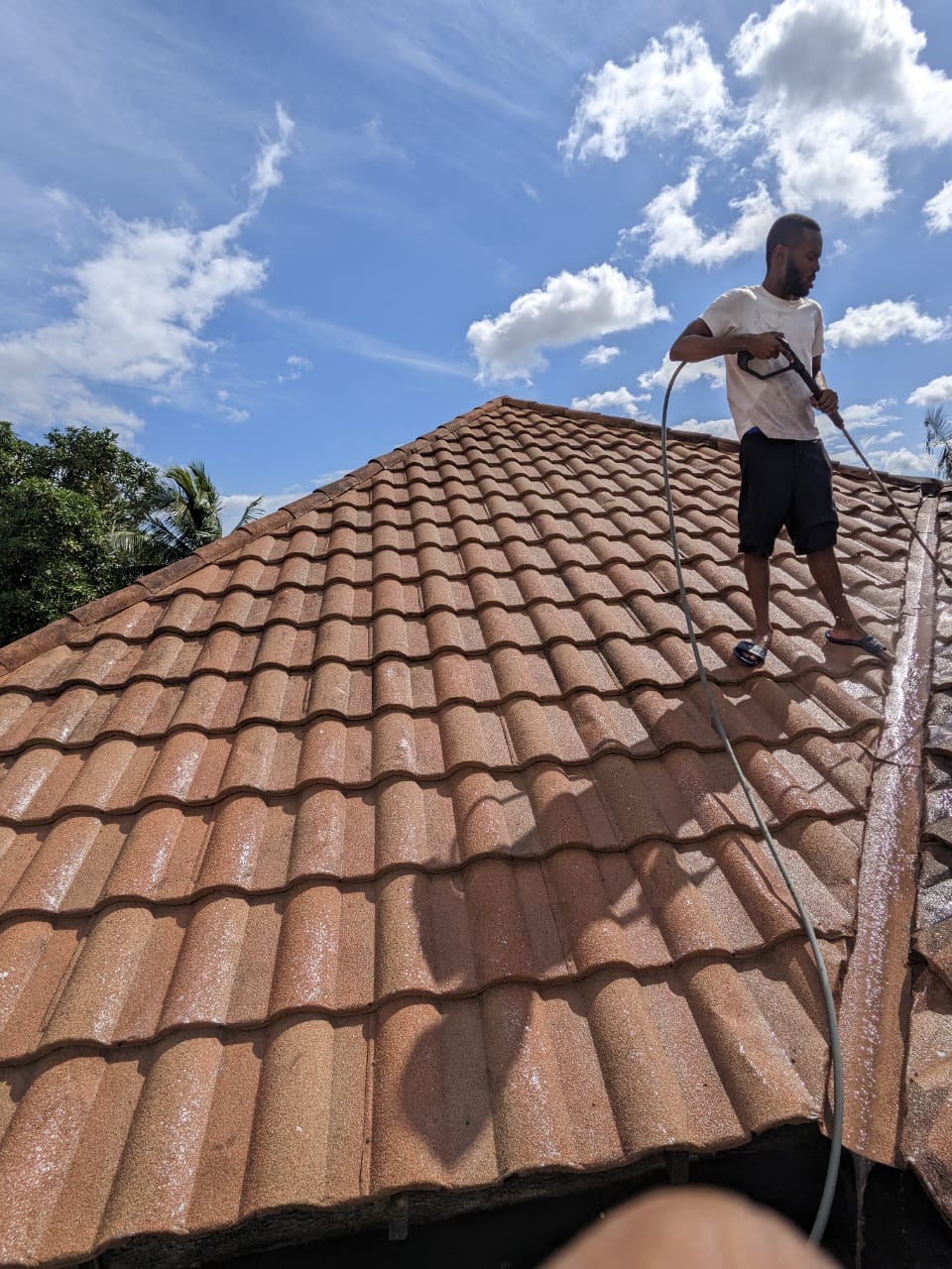 Roof Cleaning