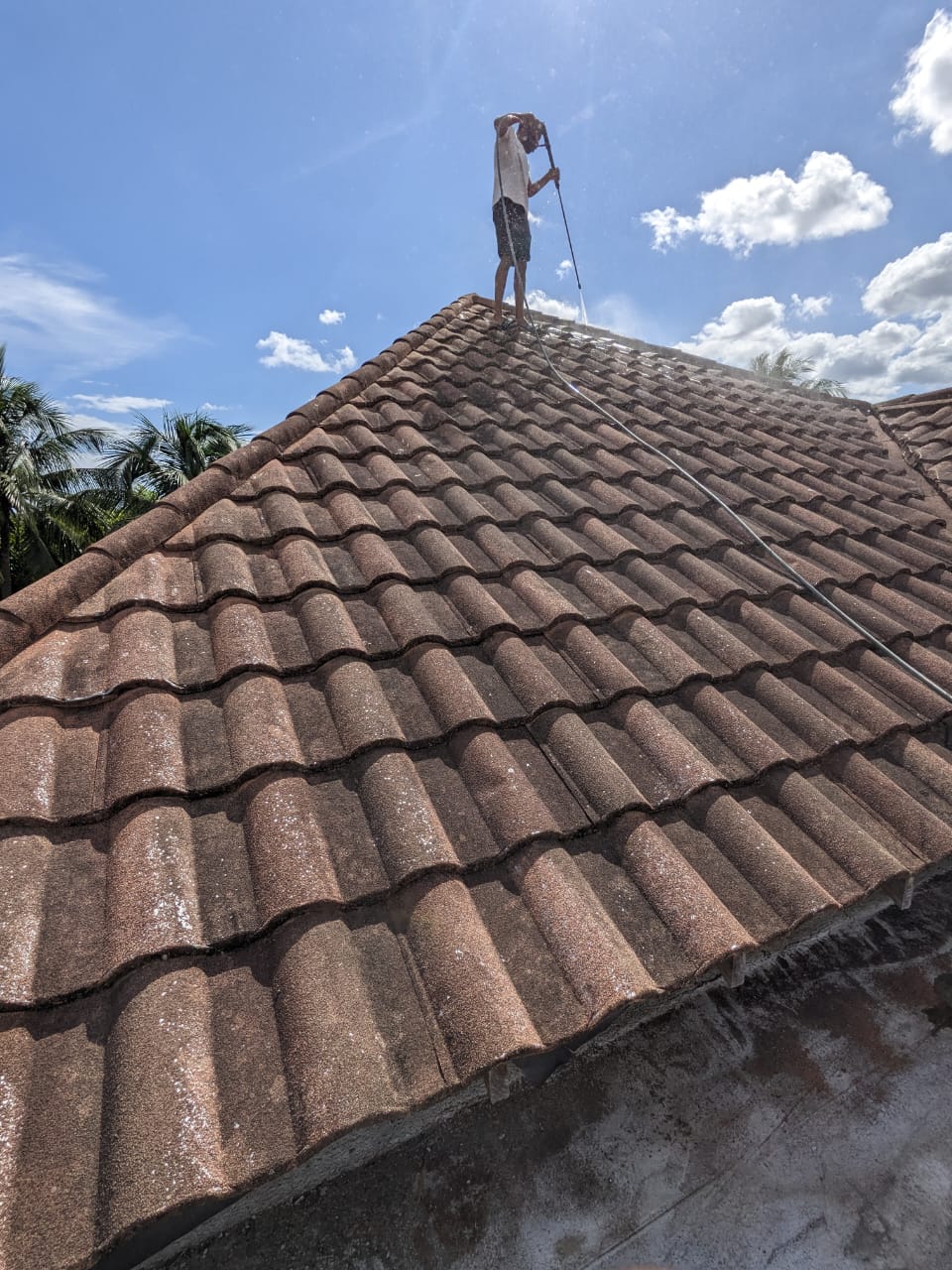 Roof Cleaning before